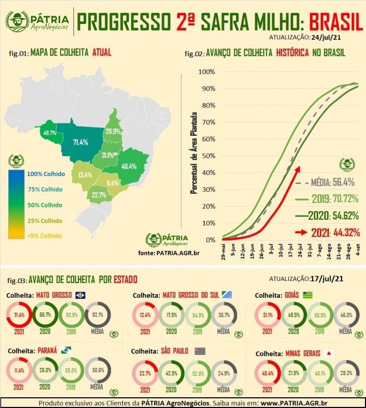 Gráfico explicativo sobre colheita de milho no Brasil 