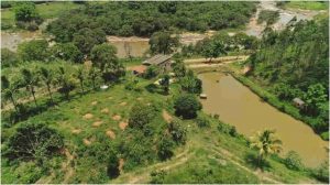 Mais de 500 propriedades participam de ações. Foto/Renova