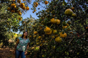 Produtora em meio a plantação de frutas