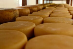 Minas pretende exportar produtos lácteos para outros mercados (Foto: Gil Leonardi / Imprensa MG)