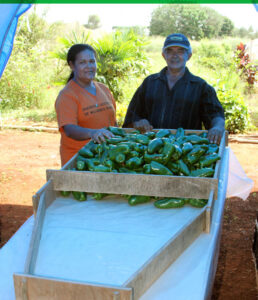 Agricultores familiares terão novo documento de identificação. (Foto: Paula Rodrigues / Embrapa)