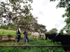 Técnico do SENAR orienta pecuarista